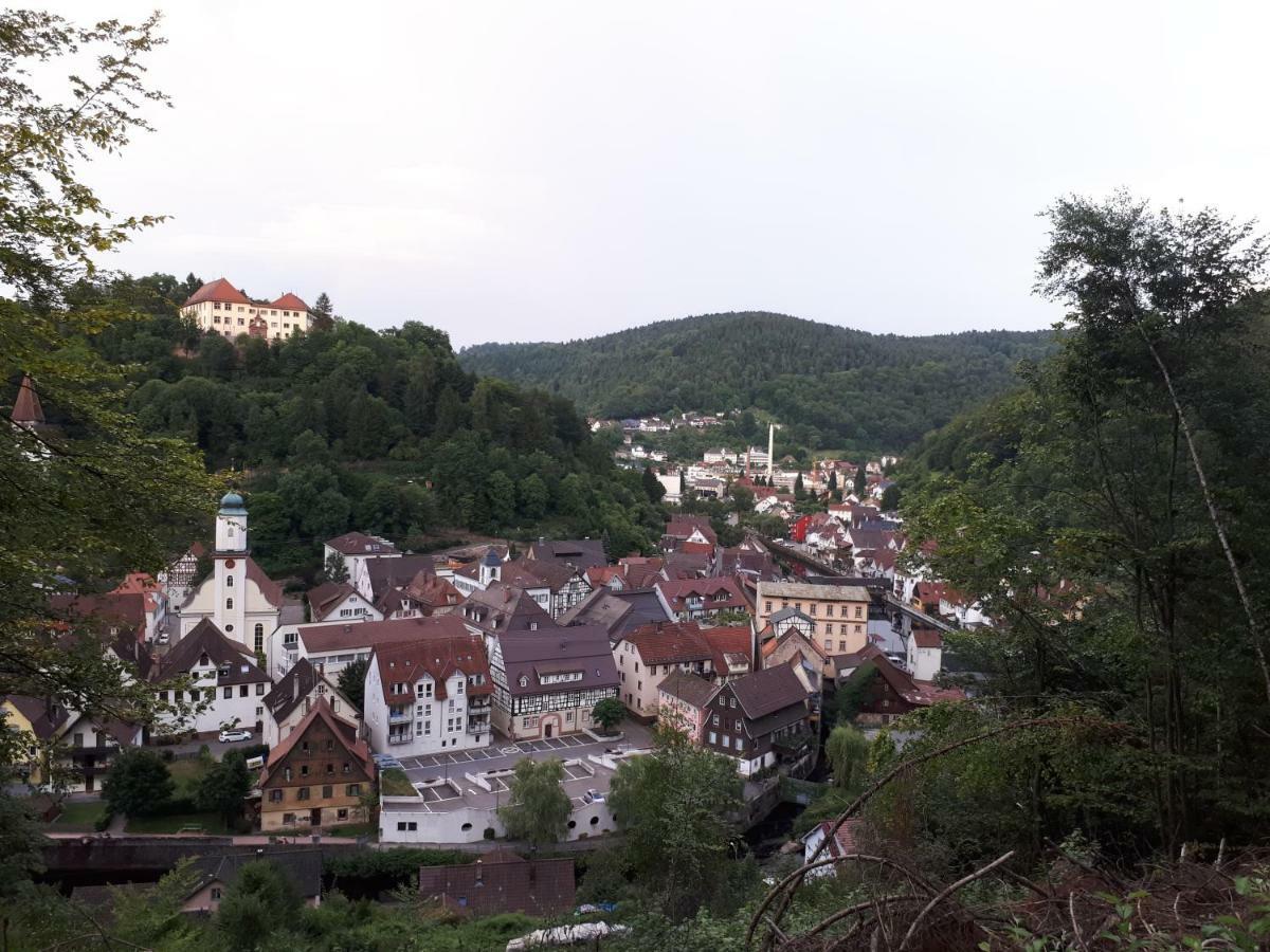Ferienwohnung Buchberg Exklusiv Neuenburg  Zewnętrze zdjęcie